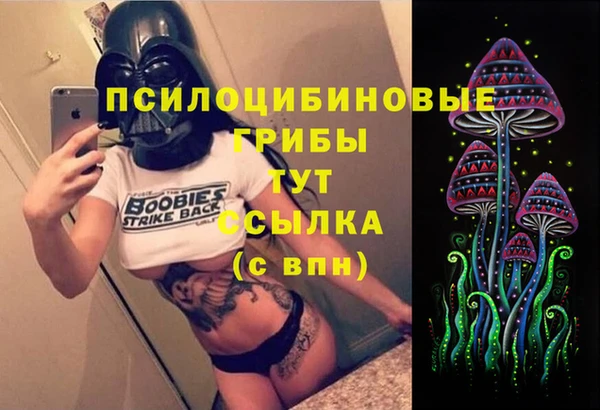 гидропоника Осинники