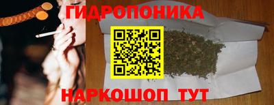 гашик Гагарин