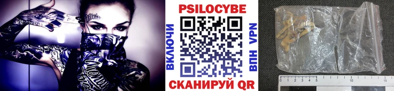 kraken ССЫЛКА  Ярцево  Галлюциногенные грибы Cubensis 
