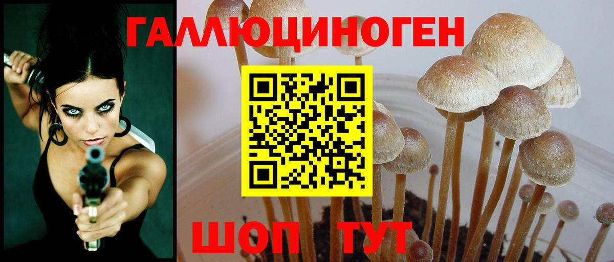 Ярцево  как найти   Вход с VPN  Галлюциногенные грибы Magic Shrooms 